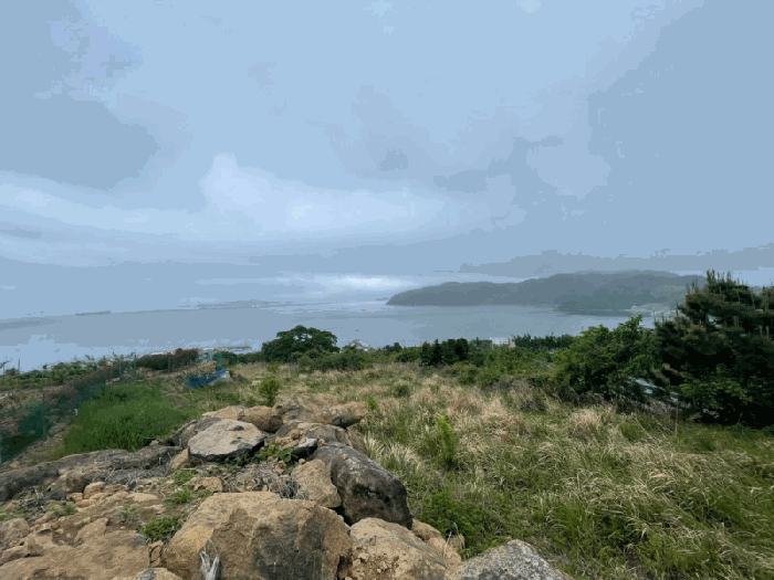 경상남도 거제시 사등면 창호리 522 외 2필지 전 경매 사진 14