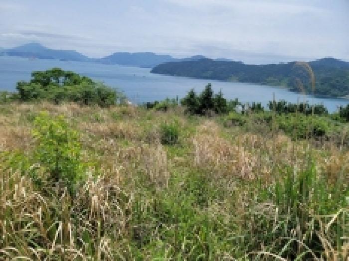 경상남도 거제시 사등면 창호리 522 외 2필지 전 경매 사진 3