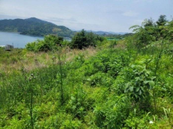 경상남도 거제시 사등면 창호리 522 외 2필지 전 경매 사진 4