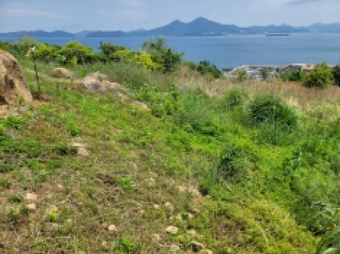 경상남도 거제시 사등면 창호리 522 외 2필지 전 경매 사진 5