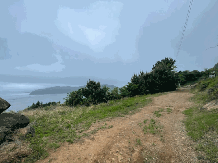 경상남도 거제시 사등면 창호리 522 외 2필지 전 경매 사진 10