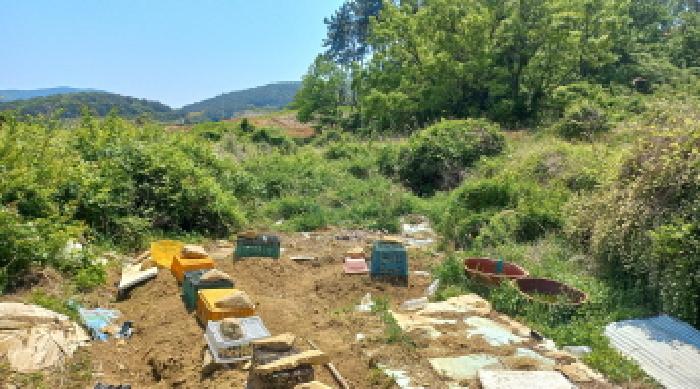 경상남도 거제시 일운면 소동리 700 외 2필지 답 경매 사진 3