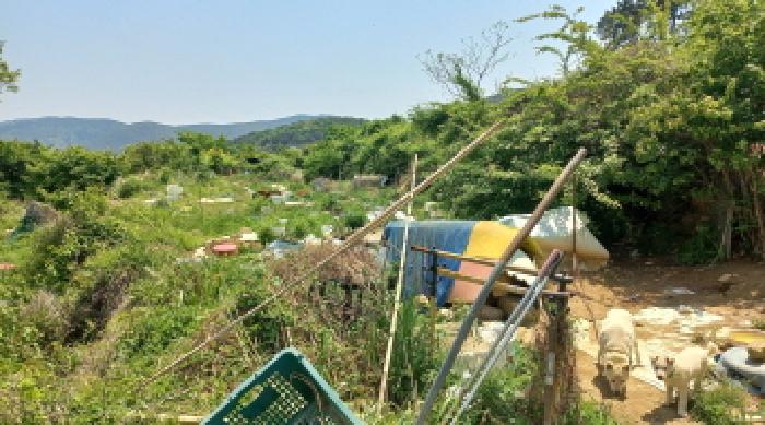 경상남도 거제시 일운면 소동리 700 외 2필지 답 경매 사진 5