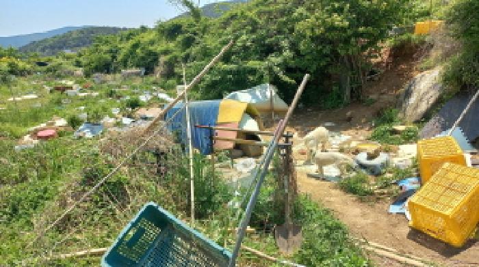 경상남도 거제시 일운면 소동리 700 외 2필지 답 경매 사진 6