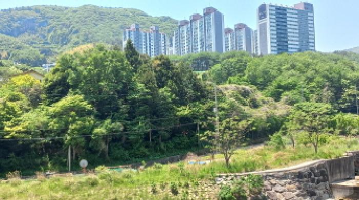 경상남도 거제시 일운면 소동리 686-5 외 3필지 답 경매 사진 5