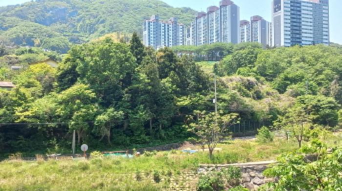 경상남도 거제시 일운면 소동리 686-5 외 3필지 답 경매 사진 6