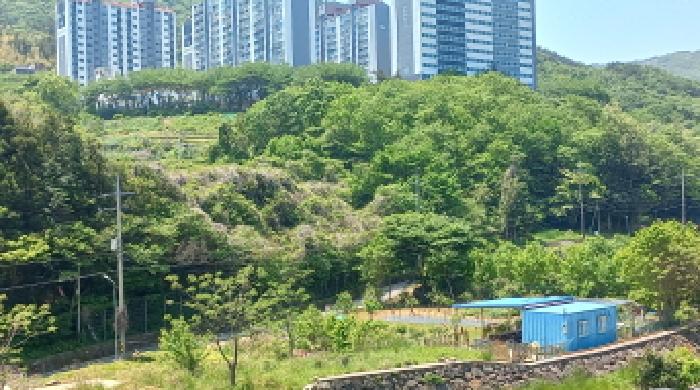 경상남도 거제시 일운면 소동리 686-5 외 3필지 답 경매 사진 8