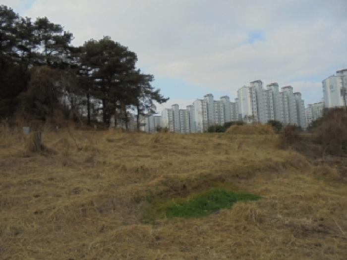 충청북도 청주시 서원구 산남동 34-9 전 경매 사진 6