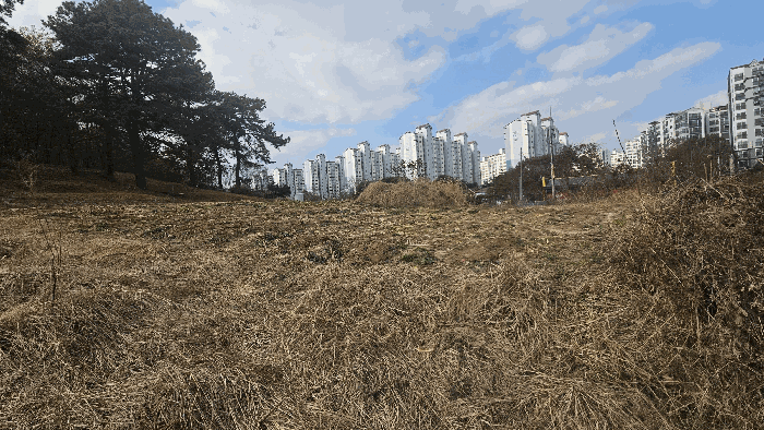 충청북도 청주시 서원구 산남동 34-9 전 경매 사진 7