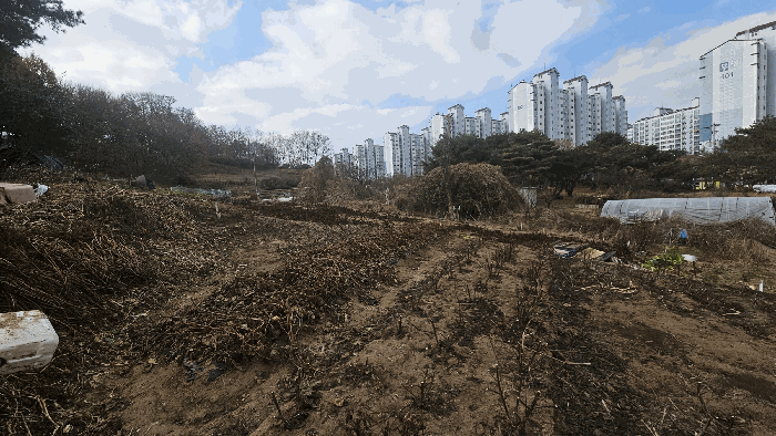 충청북도 청주시 서원구 산남동 34-9 전 경매 사진 8