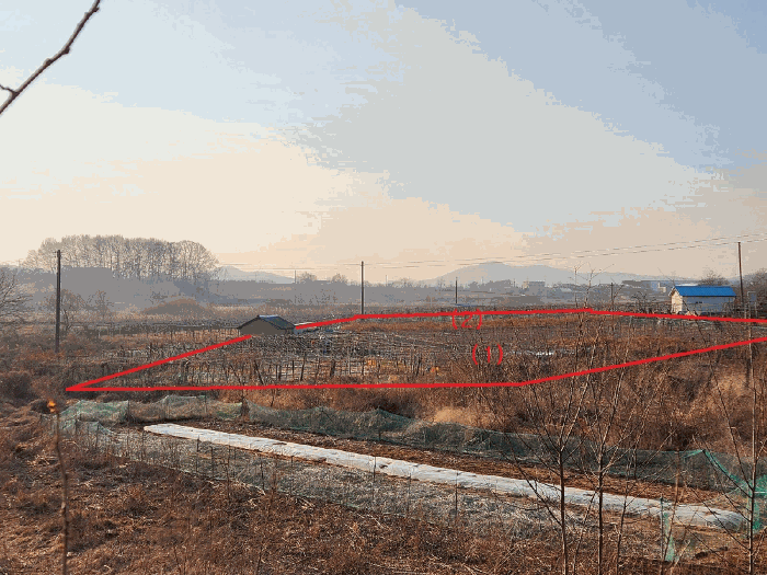충청남도 천안시 서북구 성거읍 오목리 115 외 1필지 과수원 경매 사진 19