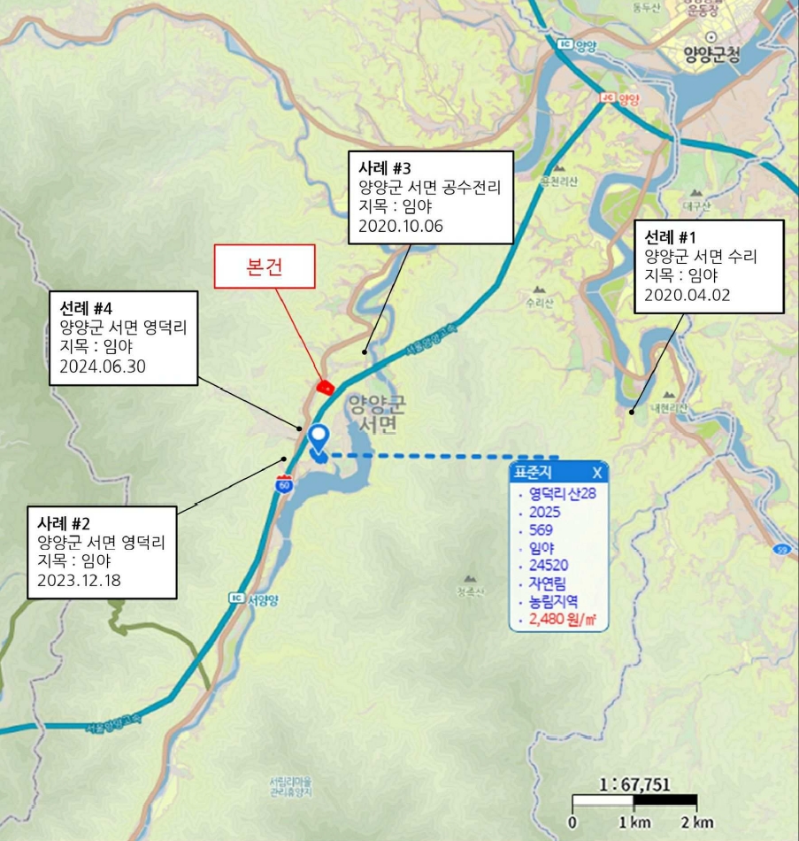 강원특별자치도 양양군 서면 영덕리 산2 임야 경매 사진 13