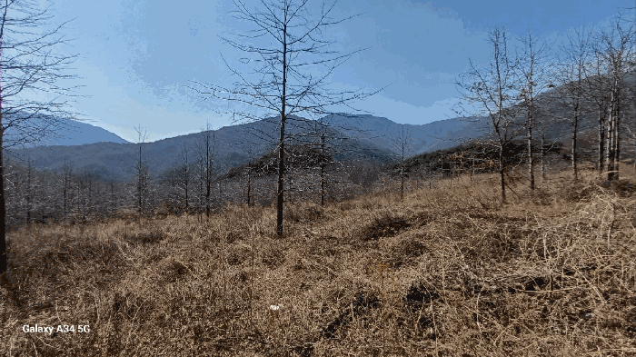 경상북도 영천시 자양면 보현리 1502 외 1필지 전 경매 사진 3