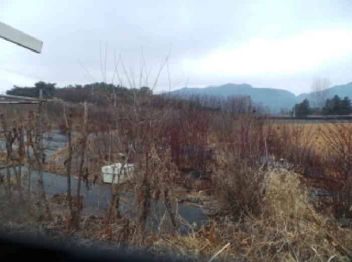 강원특별자치도 춘천시 신북읍 산천리 877-10 전 경매 사진 52