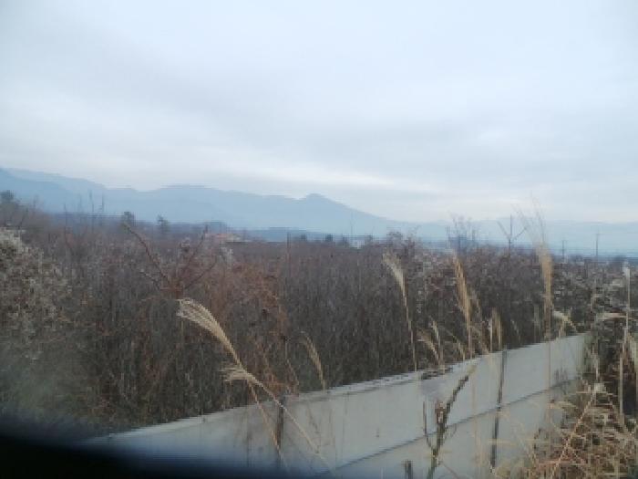 강원특별자치도 춘천시 신북읍 산천리 877-10 전 경매 사진 39