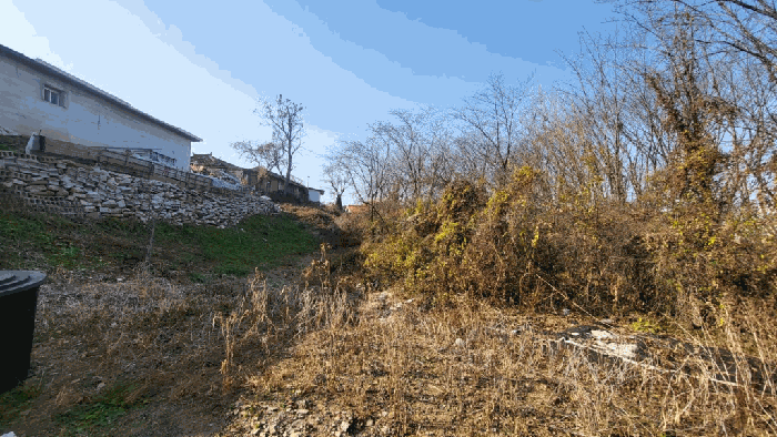 경상남도 함안군 가야읍 도항리 237-8 외 7필지 전 경매 사진 5