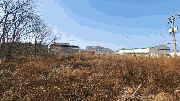 경상남도 함안군 가야읍 도항리 237-8 외 7필지 전 경매 사진 9