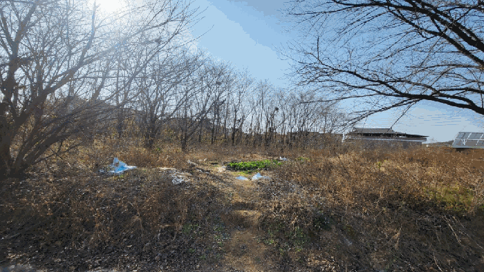 경상남도 함안군 가야읍 도항리 237-8 외 7필지 전 경매 사진 10