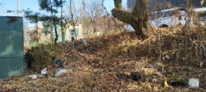 경기도 고양시 덕양구 대자동 161-44 외 4필지 전 경매 사진 9