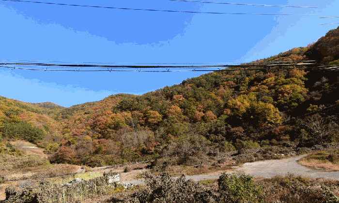 경상북도 경주시 산내면 내칠리 472 외 4필지 답 경매 사진 2
