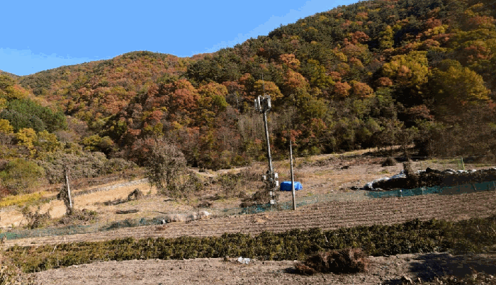 경상북도 경주시 산내면 내칠리 472 외 4필지 답 경매 사진 3