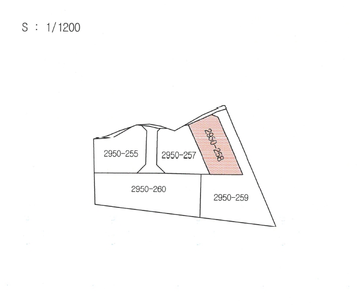 경상북도 경주시 산내면 대현리 2950-258 임야 경매 사진 11