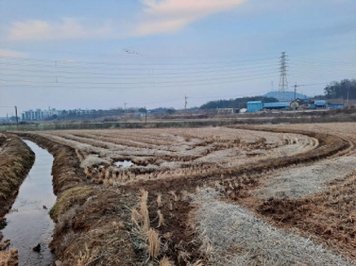충청남도 당진시 송악읍 석포리 321-41 답 경매 사진 33