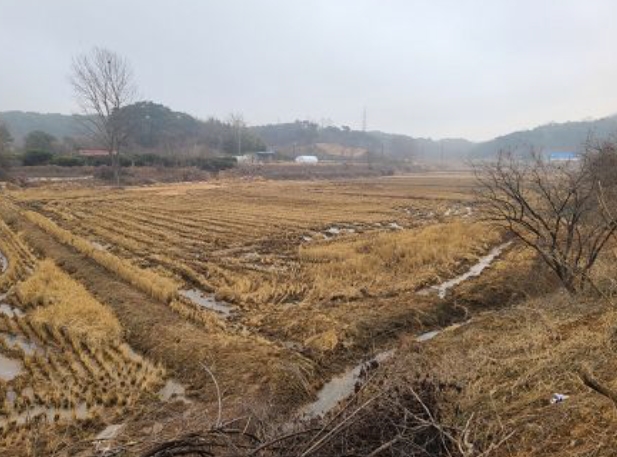 충청남도 당진시 송악읍 석포리 384 답 경매 사진 30
