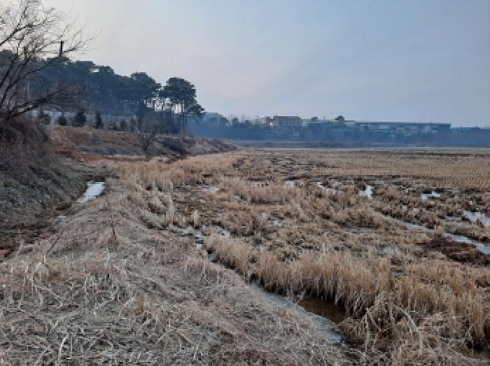 충청남도 당진시 송악읍 석포리 384 답 경매 사진 34