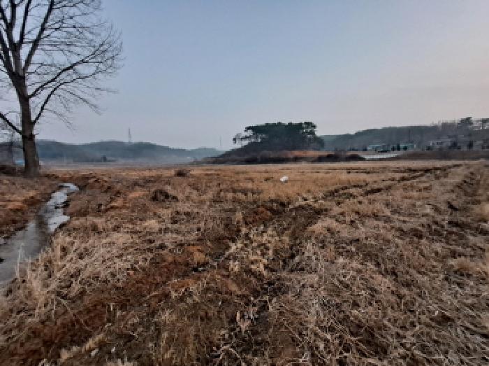 충청남도 당진시 송악읍 석포리 384 답 경매 사진 37