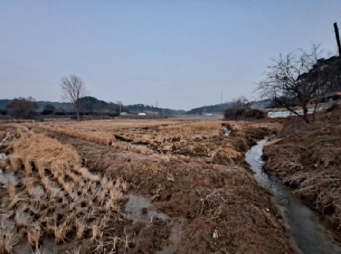 충청남도 당진시 송악읍 석포리 384 답 경매 사진 38