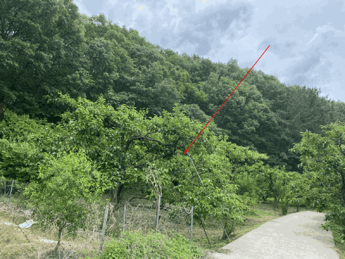 경상북도 경산시 남산면 우검리 378 전 경매 사진 18