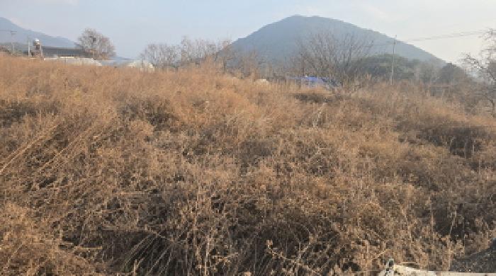 경상북도 칠곡군 동명면 남원리 1092 전 경매 사진 14