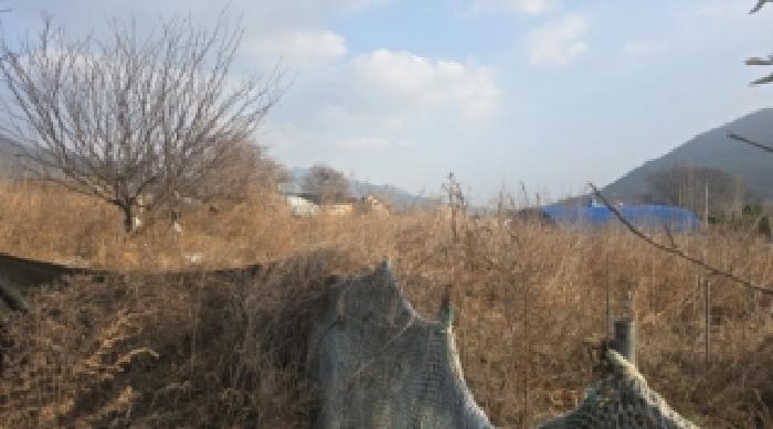 경상북도 칠곡군 동명면 남원리 1092 전 경매 사진 15