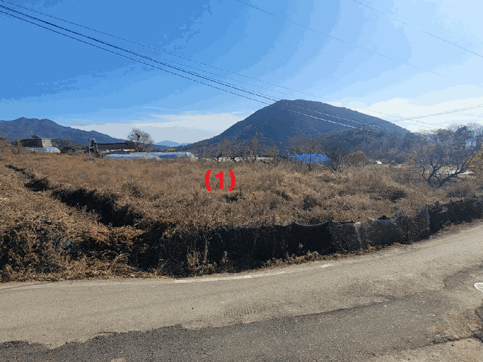 경상북도 칠곡군 동명면 남원리 1092 전 경매 사진 17