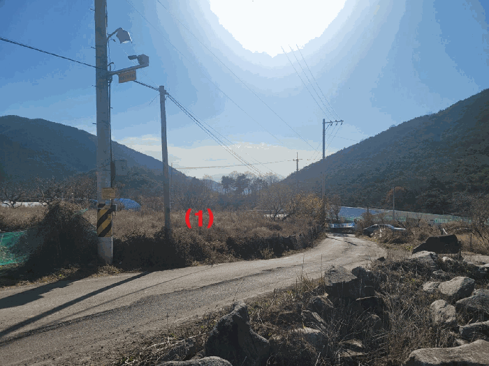 경상북도 칠곡군 동명면 남원리 1092 전 경매 사진 19
