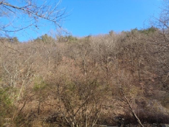 전북특별자치도 완주군 운주면 산북리 417-23 임야 경매 사진 19