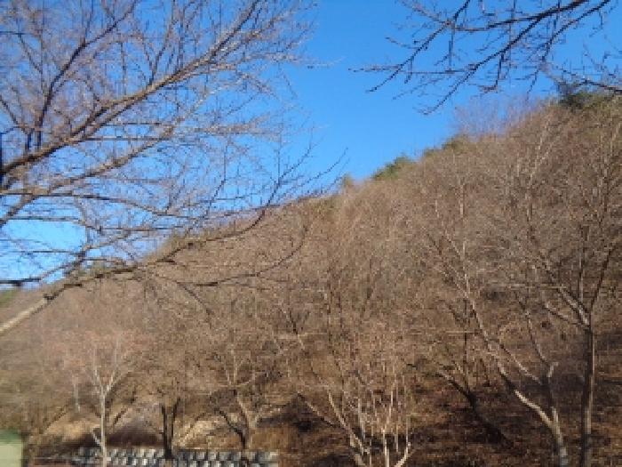 전북특별자치도 완주군 운주면 산북리 417-23 임야 경매 사진 21