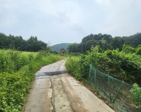 충청북도 음성군 음성읍 초천리 339-3 답 경매 사진 24