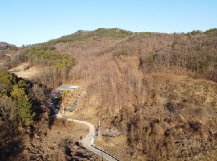 충청북도 보은군 보은읍 풍취리 산11-25 임야 경매 사진 1