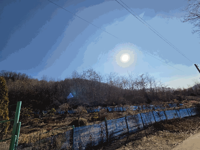 충청북도 보은군 보은읍 풍취리 산11-25 임야 경매 사진 3