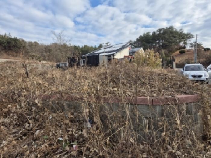 전라남도 화순군 도곡면 천암리 산27-25 외 4필지 임야 경매 사진 1