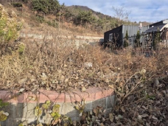 전라남도 화순군 도곡면 천암리 산27-25 외 4필지 임야 경매 사진 2