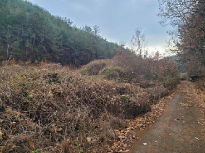 전라남도 고흥군 두원면 운대리 856 전 경매 사진 20