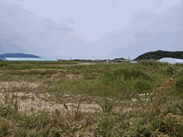 전북특별자치도 부안군 진서면 진서리 산149-96 임야 경매 사진 12