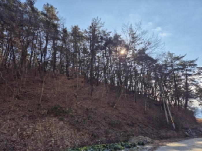 전라남도 화순군 백아면 방리 산110-3 임야 경매 사진 10