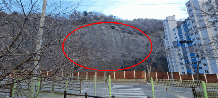 부산광역시 사하구 당리동 산26-1 임야 경매 사진 10