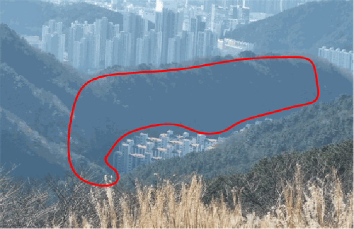 부산광역시 사하구 당리동 산26-1 임야 경매 사진 12