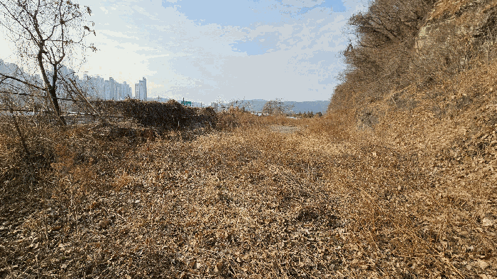 경상남도 진주시 집현면 장흥리 25 전답 경매 사진 4