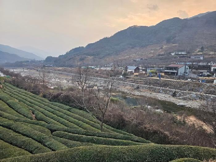 경상남도 하동군 화개면 정금리 1231 답 경매 사진 9